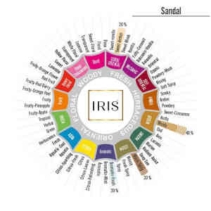 IRIS Amogha Sandal Vaporizer 202 – Best Home Fragrance Online | Buy Candles Online 3