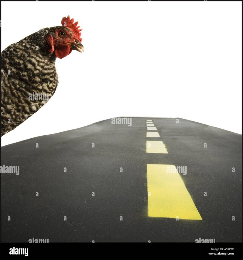 Best chicken road casino in Spain